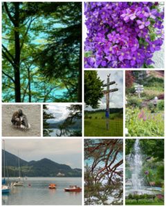 Impressionen Fuschl